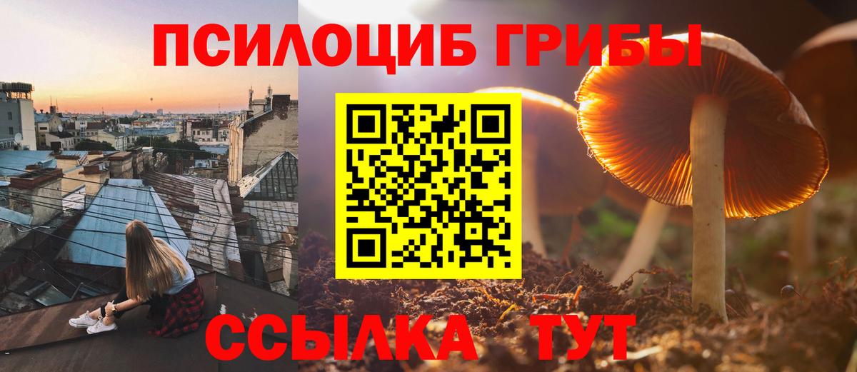 Псилоцибиновые грибы мухоморы Избербаш